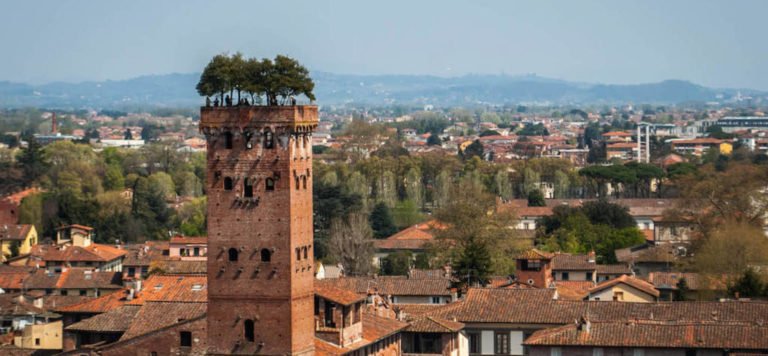 torre Guinigi a Lucca