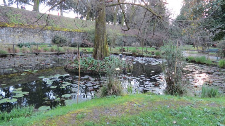 L’Orto Botanico a Lucca